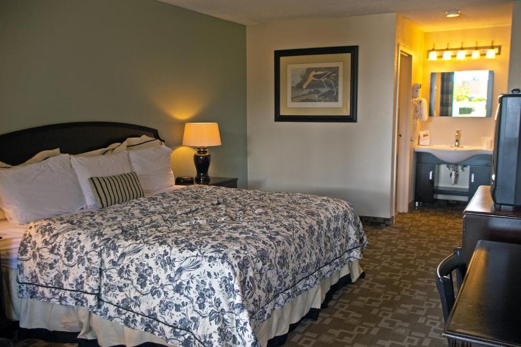 Springfield Hotel And Suites 金斯兰 外观 照片